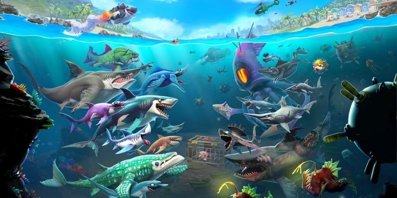 Share the most outstanding features of Hungry Shark