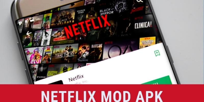 What does the application of netflix mod apk 2022 have?