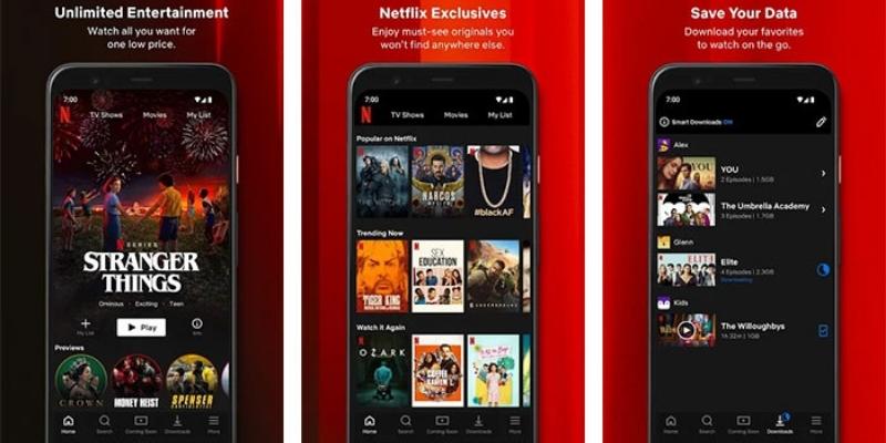 Summary of strengths and weaknesses of the netflix mod application