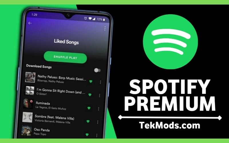 What's so attractive about the subscription mod Spotify?
